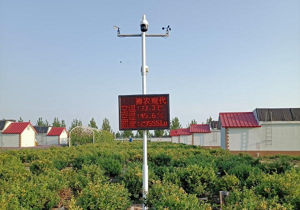 高標準農(nóng)田建設圖片1